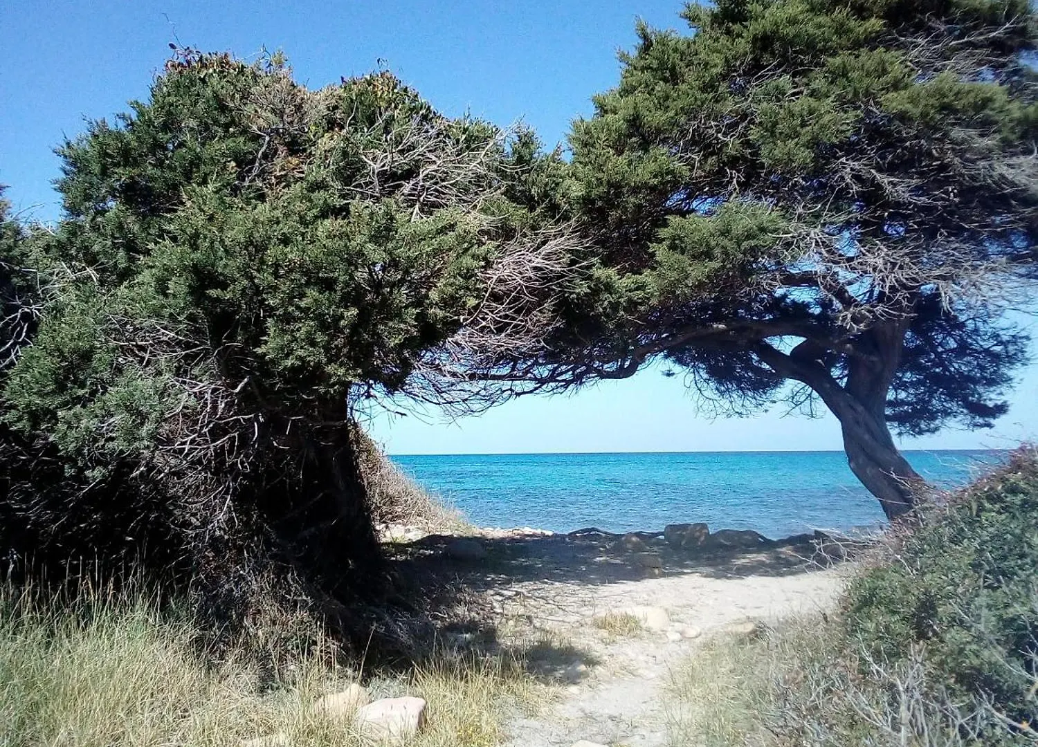 Entos La Caletta Apartment Italy
